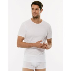 T-shirt girocollo 100% puro cotone